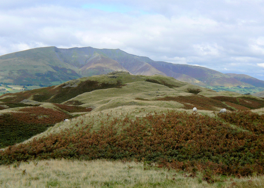 Naddle Fell Naddle Fell